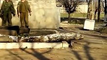 Military GRENADE Training of The WORLD!🌏