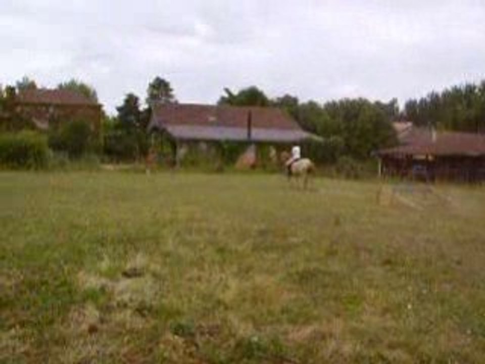IMGP0305