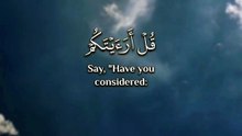 ﴿ قُلْ أرَأيْتَكُمْ إنْ أتاكُمْ عَذابُ اللَّهِ أوْ أَتَتْكُمُ السَّاعَةُ أغَيْرَ اللَّهِ تَدْعُونَ ﴾
