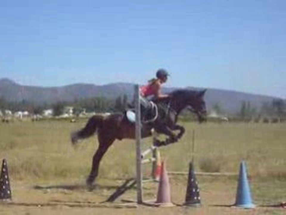 Saut d'obstacle