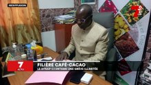 Filière Café - Cacao : le SYNAP-CI entame une grève illimitée
