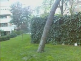 Extreme stunts feat air traceurs