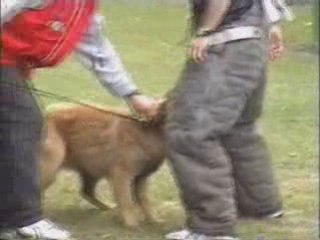 D'Jakson Défense du maître