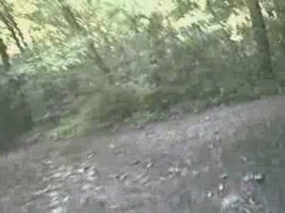 Sortie VTT en forêt de Vélizy le 30.07.2008 - PARTIE 2