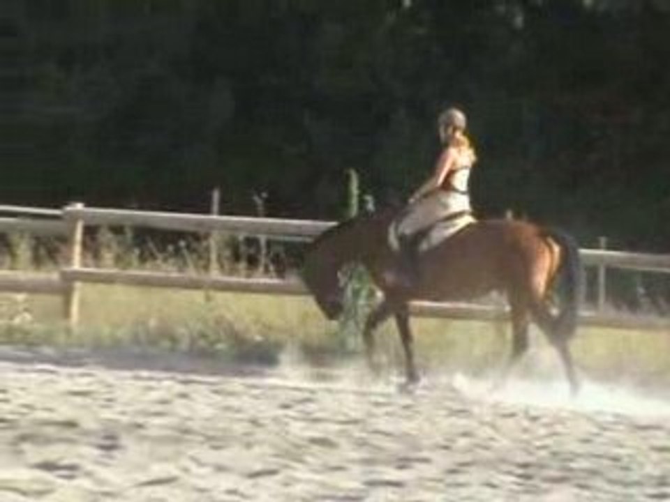 20080808174606(2)