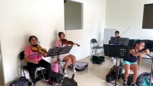 Cuerdas agudas