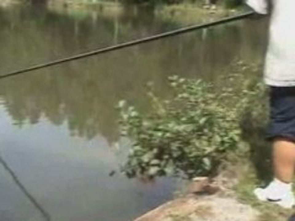 MAGIC-CARPES