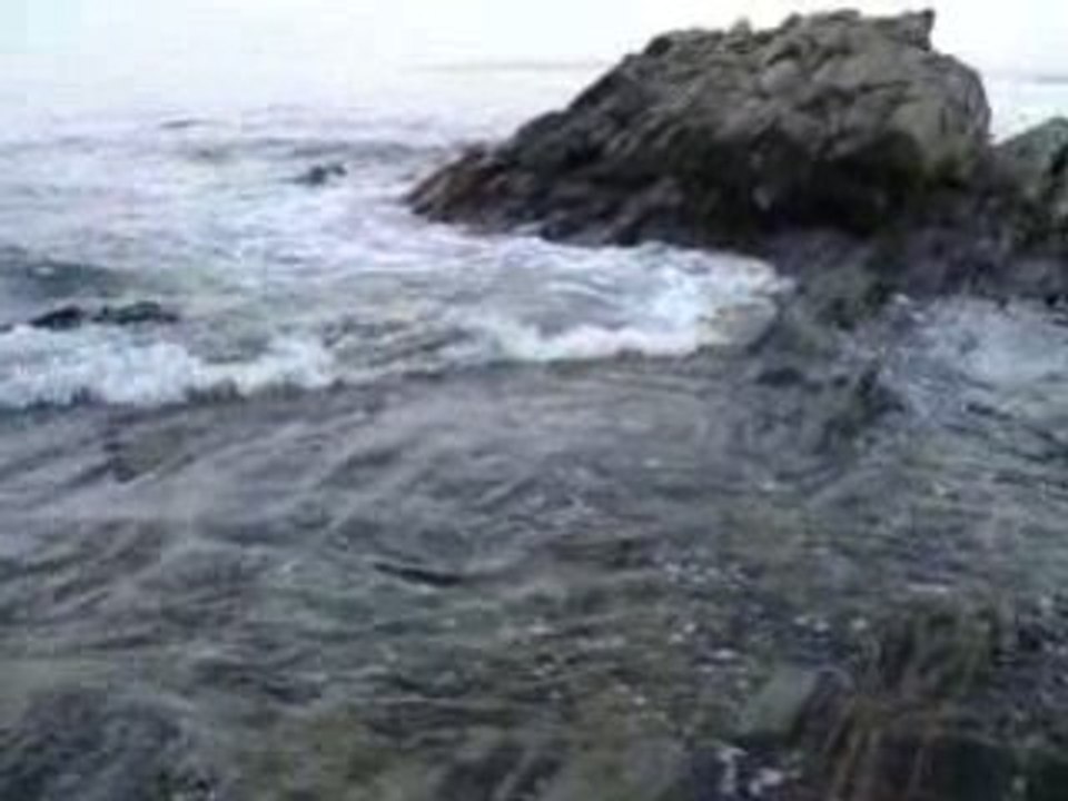 MOV00942