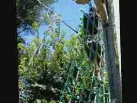 Vacances à Argeles sur mer