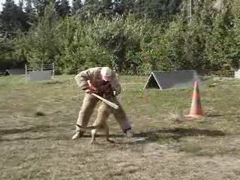 dynamite des deux sabres
