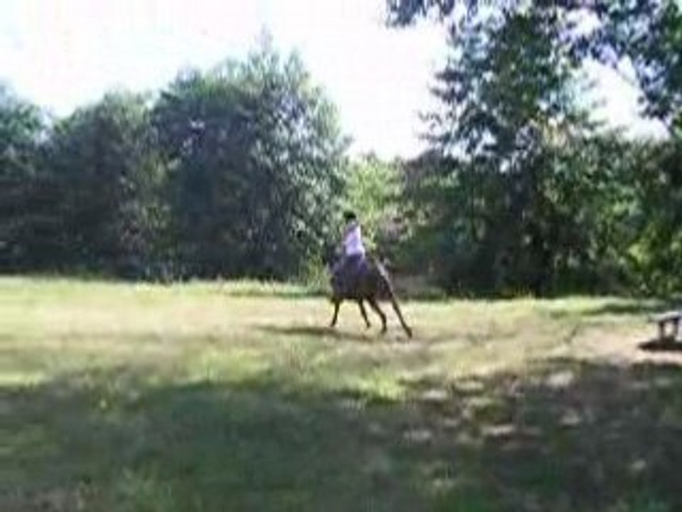 Premier galop avec Tonnerre