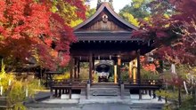 （たおやかインターネット放送)歴史散策ぶらぶらリ豊臣秀長・最後の城下町 大和郡山Yamato-Koriyama: Toyotomi Hidenaga’s Last Castle Town