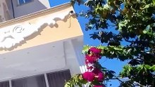 Sprawdź oferty: Albania — 27.09.2026 | Lastradar