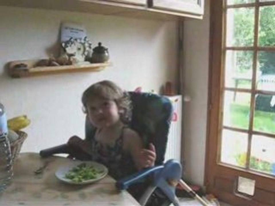 Un petit canard au bord de l'eau