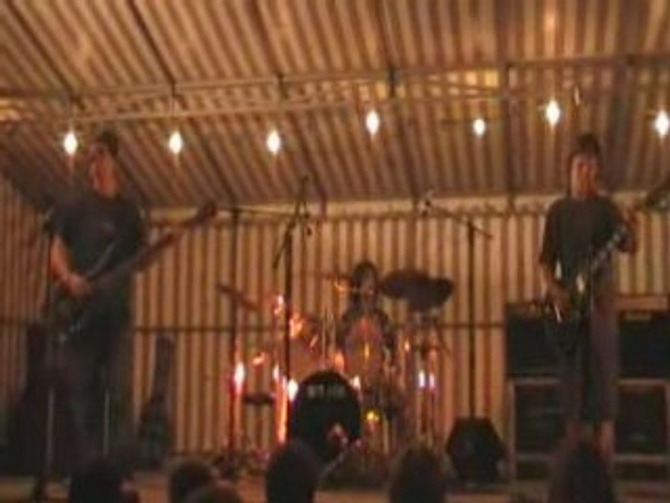 Wild thing - shinkickers