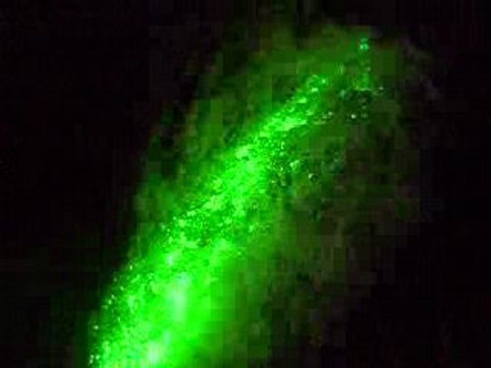 Bal hawaien Olne 2008