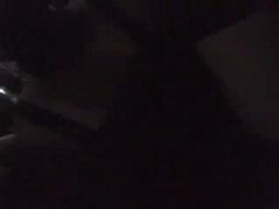 Tokio Hotel-Concert genéve 12.07.08