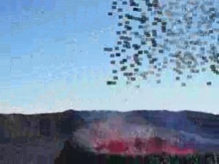 974volcan avek un son blako et km david