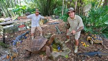 ¡Exploro el patio de mi vecino y está lleno de reptiles gigantes!