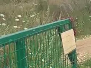 honda 125 gravenchon