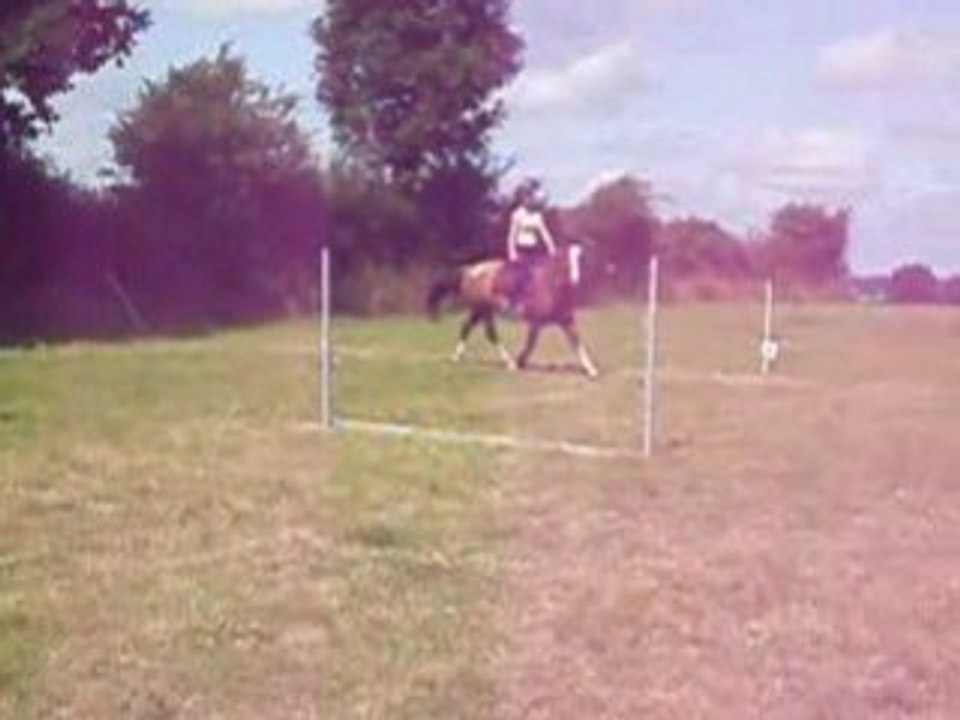 Menso mon ti criollo d'amour!