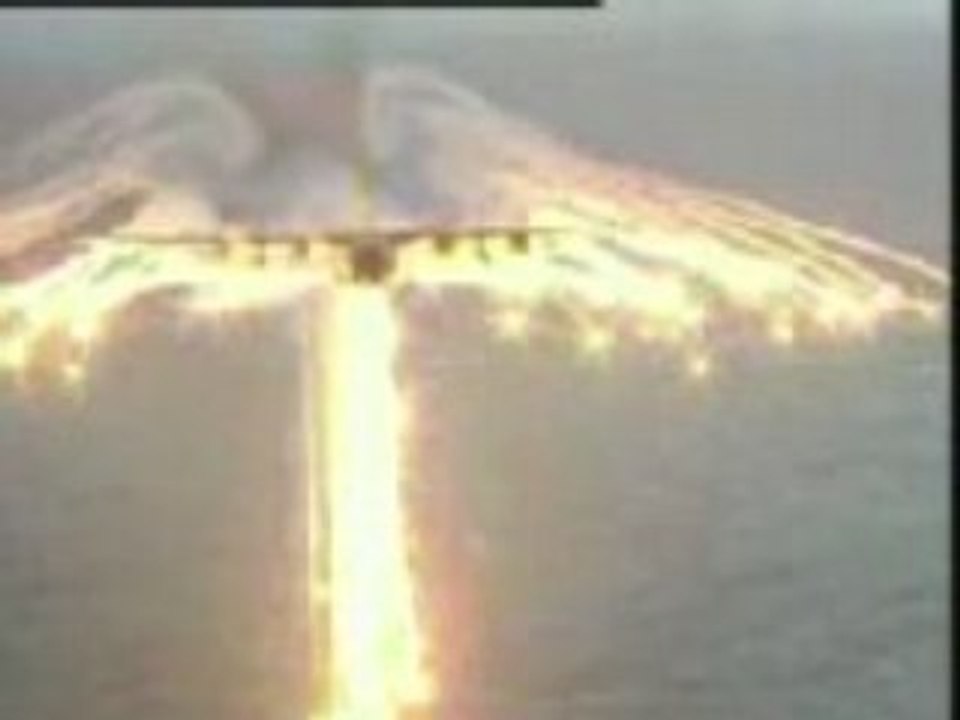 Angel wings