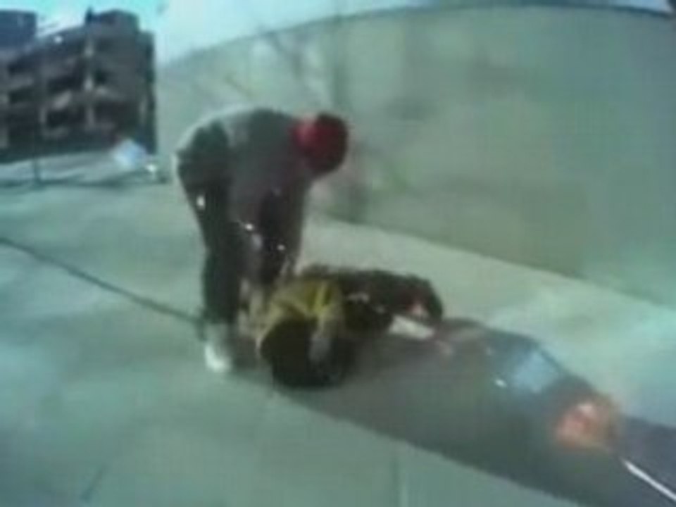 Skater Wipes Out Down Stairs