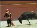 Female Bull Fighter Loses Match