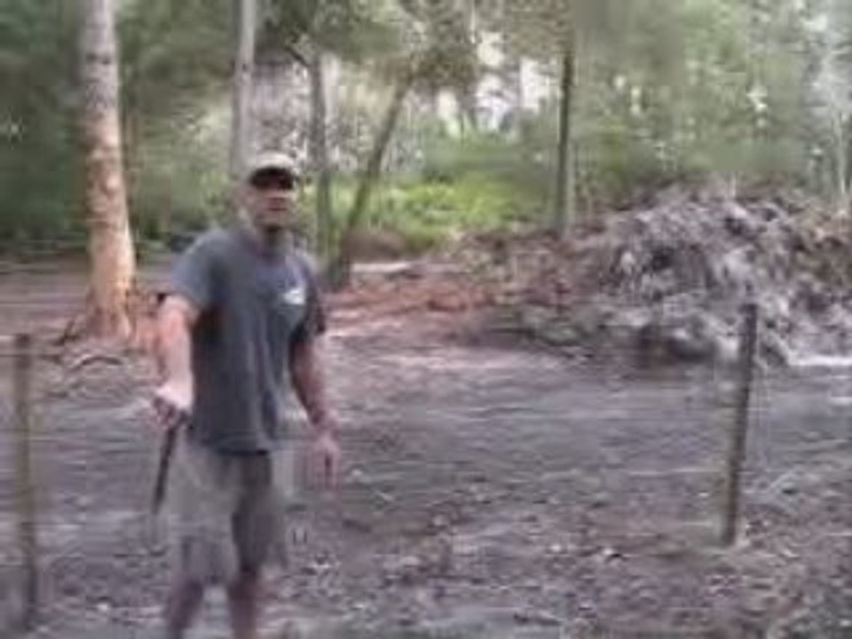 Big Cat Habitat