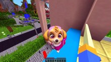 RYDER DE LA PAW PATROL DESCUBRE A SKYE EMBARAZADA EN MINECRAFT 😱