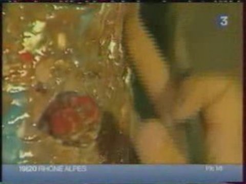 France 3 Rhône Alpes 3 mai 2007