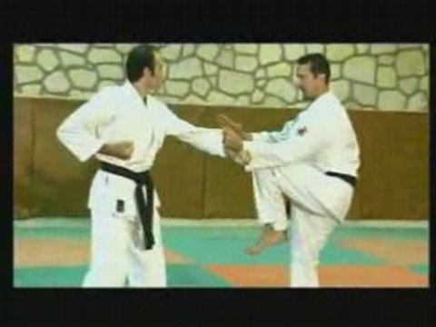 KARATE UECHI-RYU KARATE DO D_OKINAWA Vol_ 1