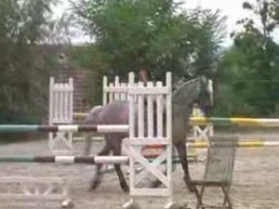 27 juillet 2008