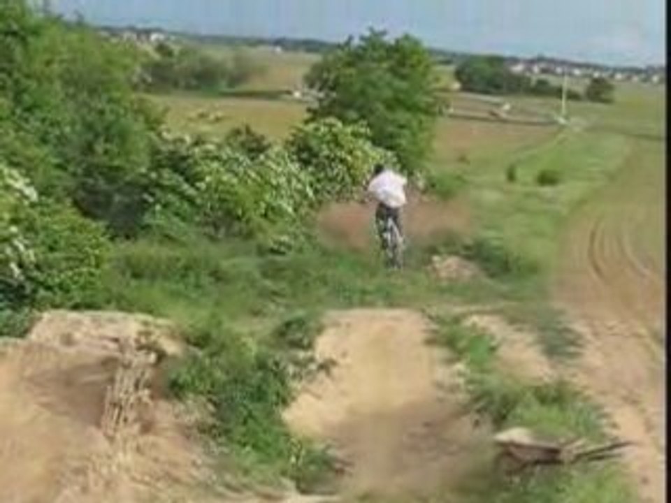 Manual