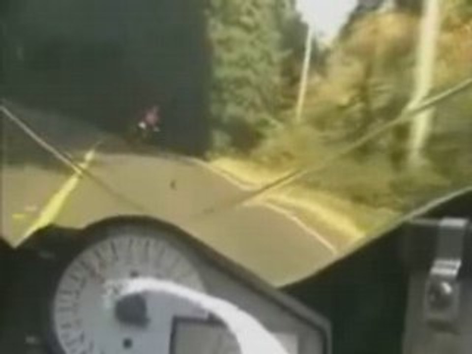 Another Motorcycle Hits Deer at 90 MPH
