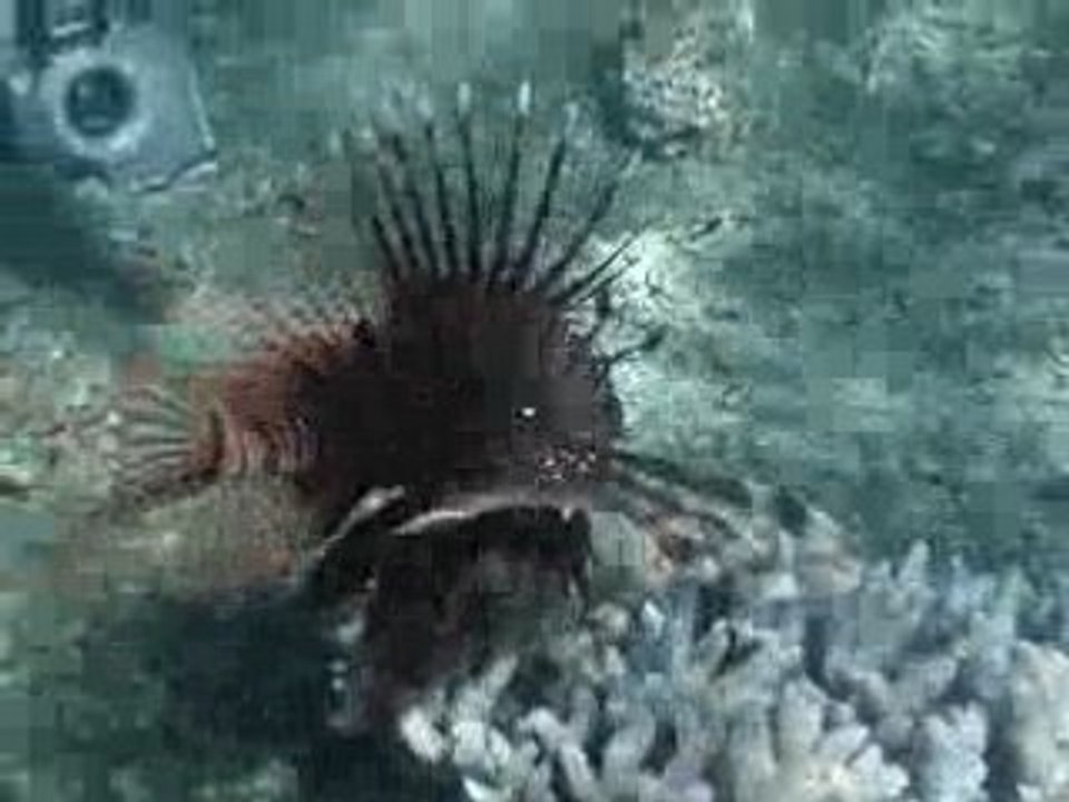 MOV07674