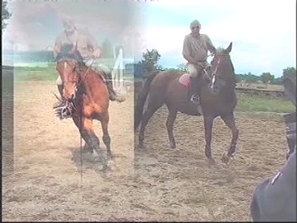 INCURVATION et REPORT de poids.(d'Orgeix).