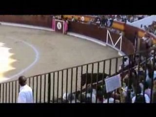Corrida de Toros Berja 2008