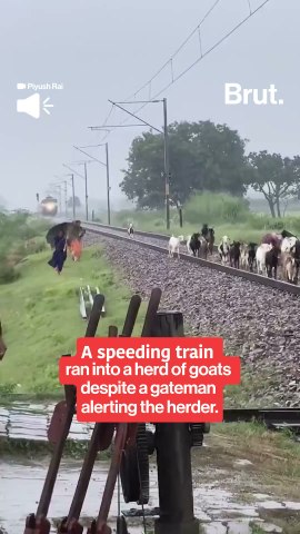 Pratapgarh Train Accident: Intercity Express Runs Over Goats On Railway Track In UP