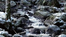 Musique Relaxante Nature _ L'Échappée Belle (1h)