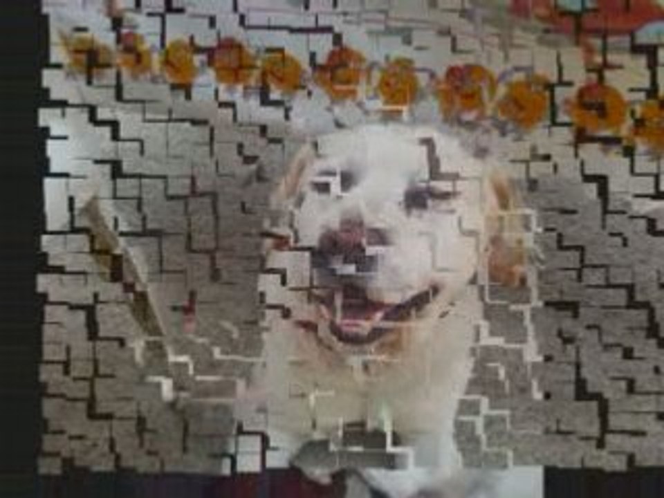 Sam_0001