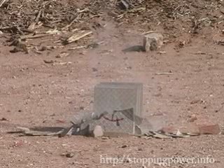 Ruger GP100 .38 Special vs 1 inch tile