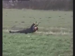 Lets Go Fly A Kite