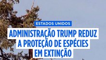 Administração Trump avança para reduzir proteção das espécies ameaçadas