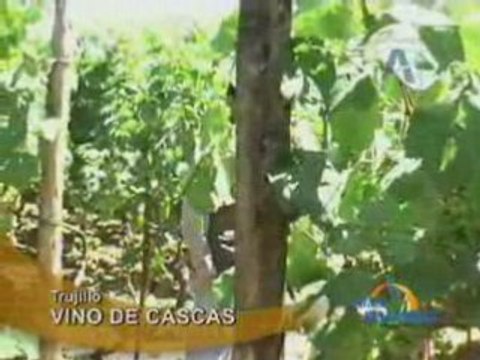 VINO DE CASCAS - TRUJILLO