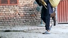 Punjabi mahol