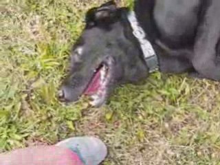 Aprem au port aux cerises