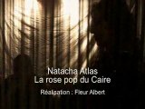 Natacha Atlas, la rose pop du Caire