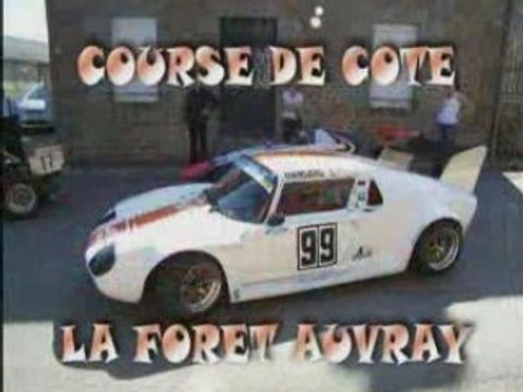 LA FORET AUVRAY Montée 1