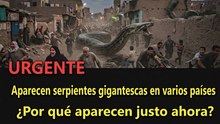Urgente: aparecen serpientes gigantes en varios países... ¿Qué está pasando?
